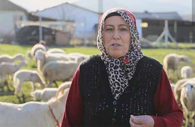 Girişimcilik Örnekleri